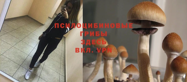 шишки Баксан