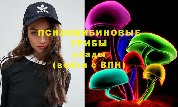 сатива Балабаново