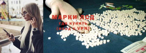 шишки Баксан